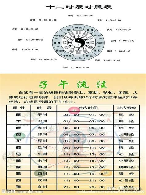 天干 時間|天支地支 十二时辰对照表